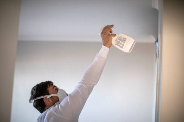 Best Residential Mold Remediation in East Point, GA