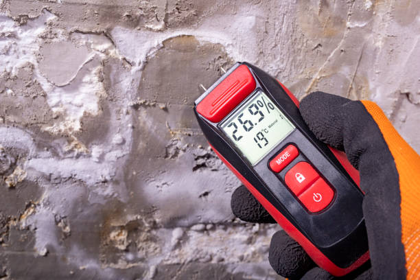Best Commercial Mold Remediation in East Point, GA