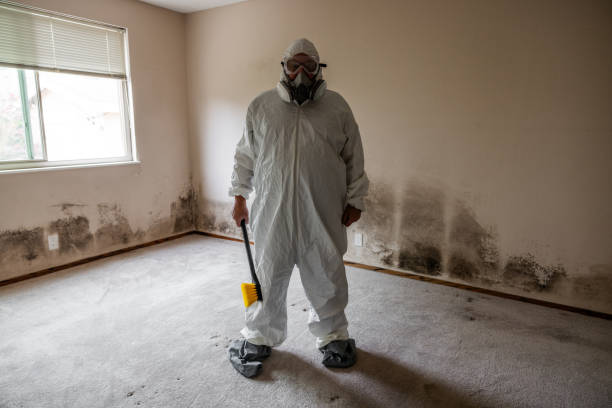 Best Mold Testing and Inspection Services in East Point, GA